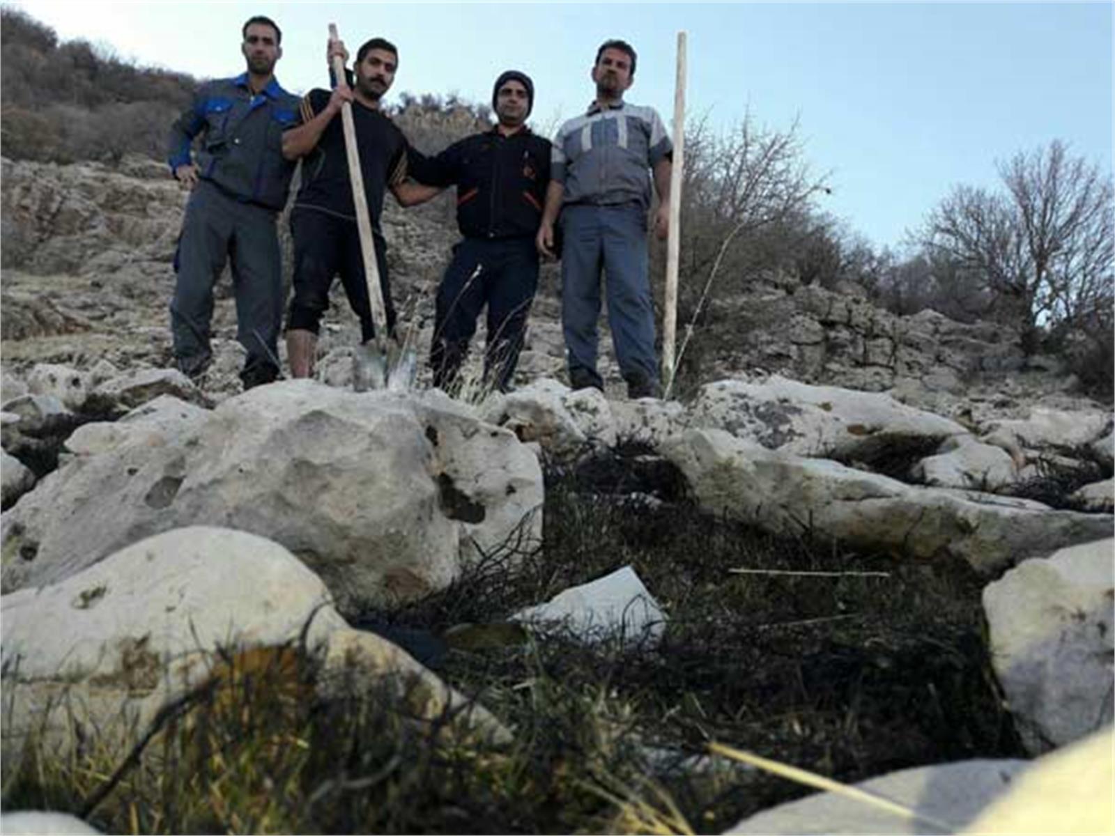 کارکنان کارخانه سیمان ایلام آتش سوزی کوه مانشت  را کنترل و مهار کردند